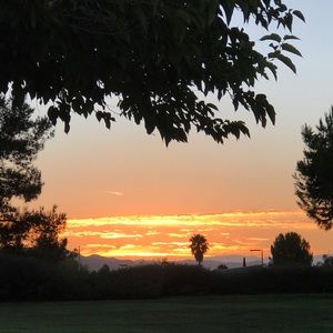 Meet your Posher, Briana